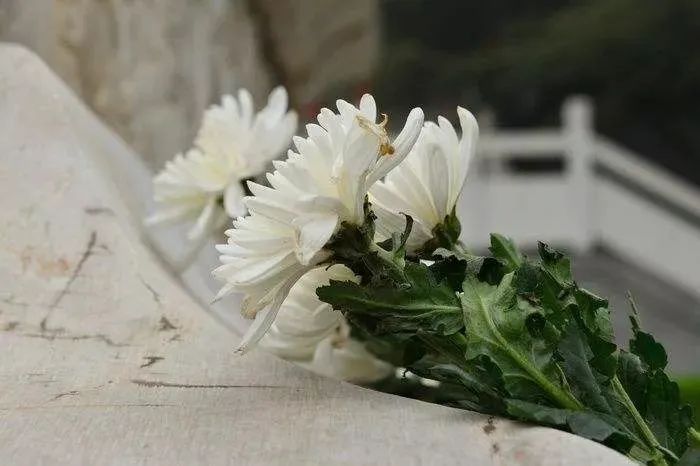 北京墓地迁坟哪类人不能去？